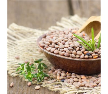 ORGANIC GREEK SMALL LENTINS AROSIS 400g