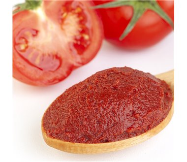 TOMATO PASTE KYKNOS 410g
