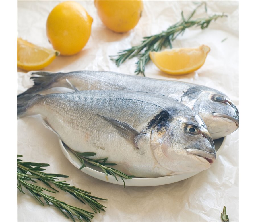 FRESH FISH SEA BREAM ( upon speciaL order 3 days before) FRESH FISH SEA BREAM ( upon speciaL order 3 days before)